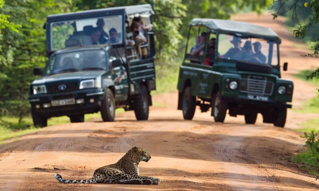 Sri Lanka Car Driver Hire